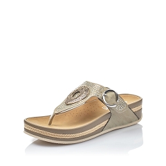 F3613 V1460:Beige