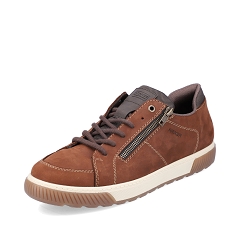 R3637 18910:Brun